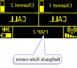 Find beltpack Role name